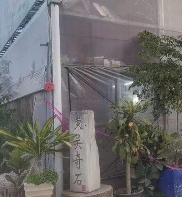 东吴奇石博物馆