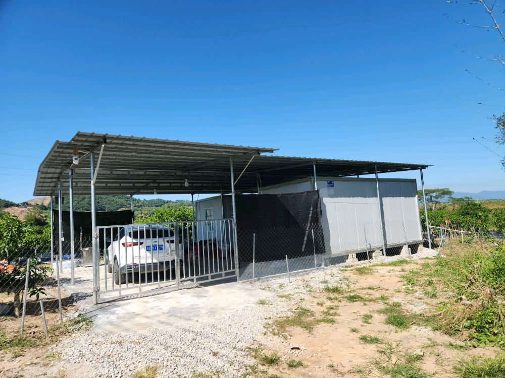 乐东千家芒果试验基地