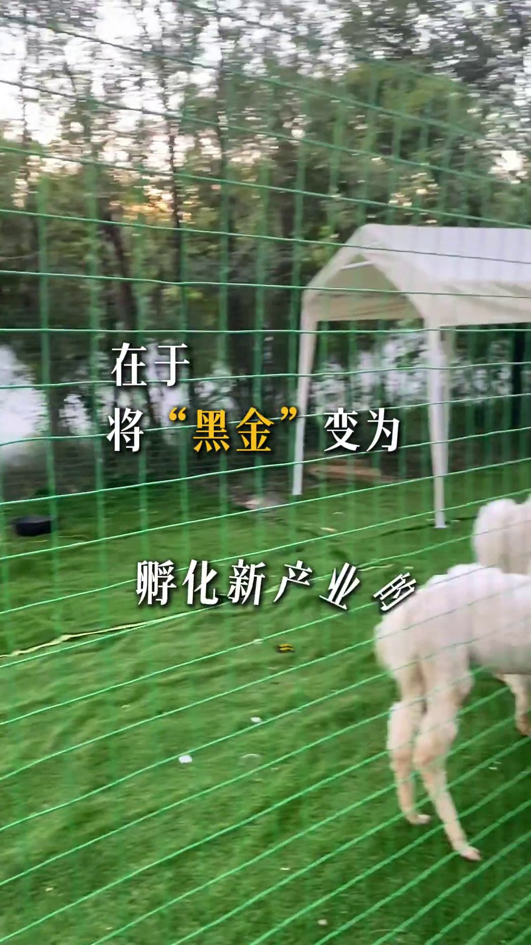 西易欢乐谷