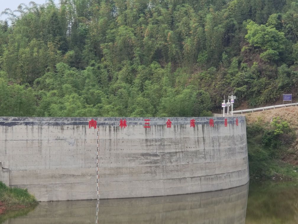 向林三合库钓基地