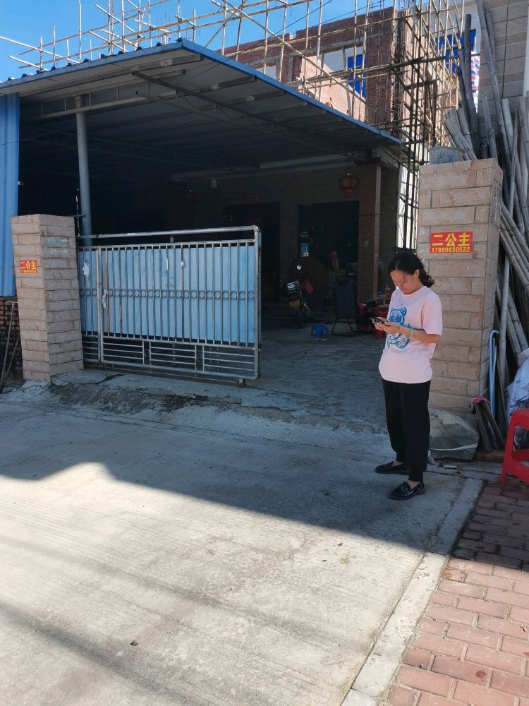 东方市皇宁村大道二公主府