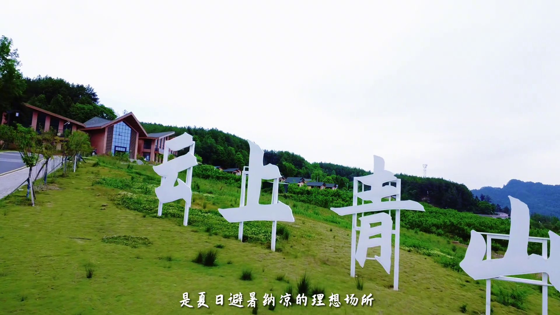 云上青山