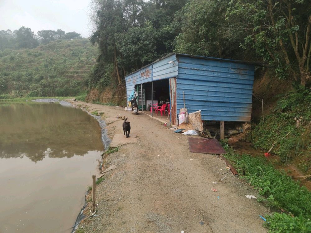 龙池三队钓鱼场