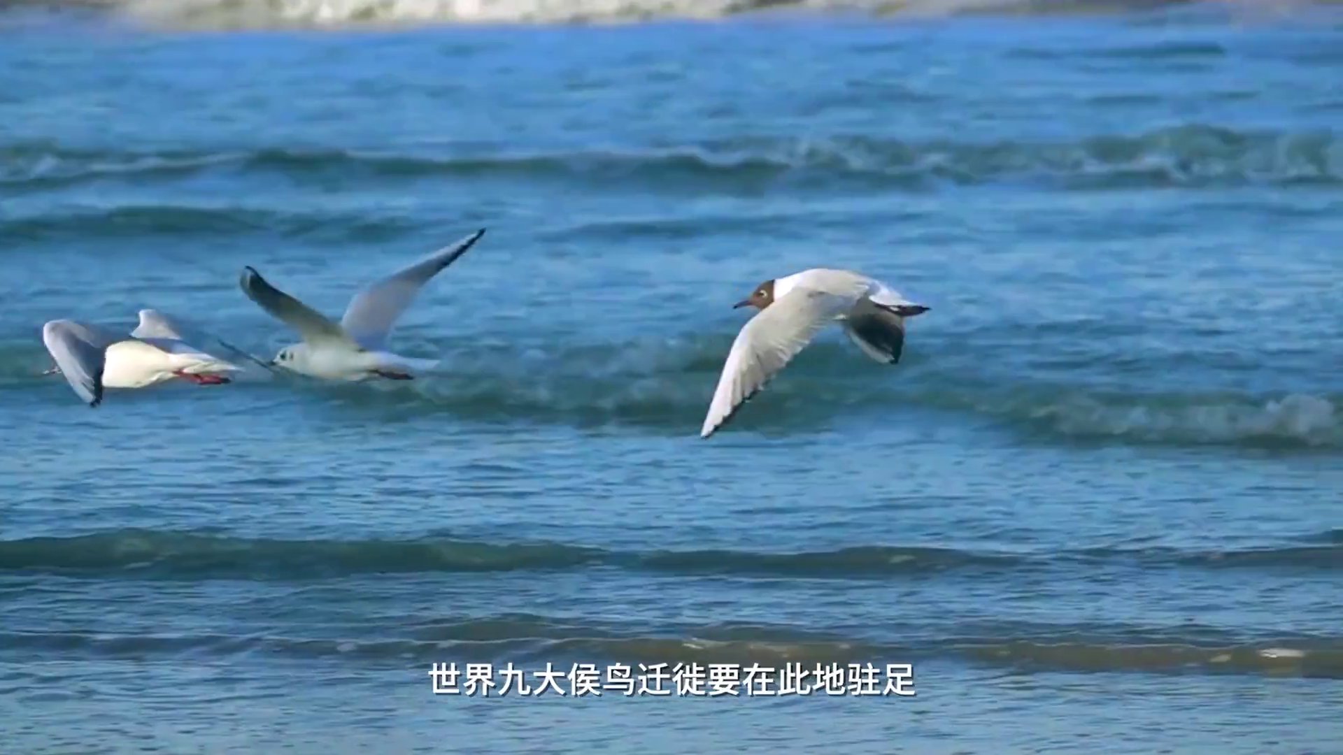 天津长芦海盐文化旅游区