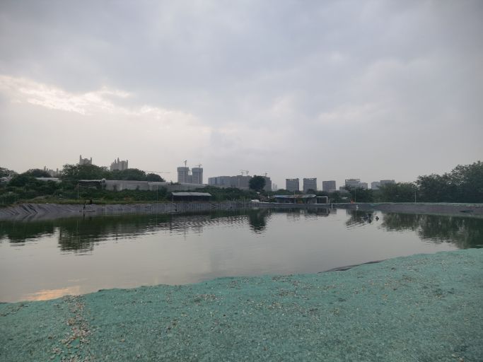 广州番禺龙门鲢鳙钓场