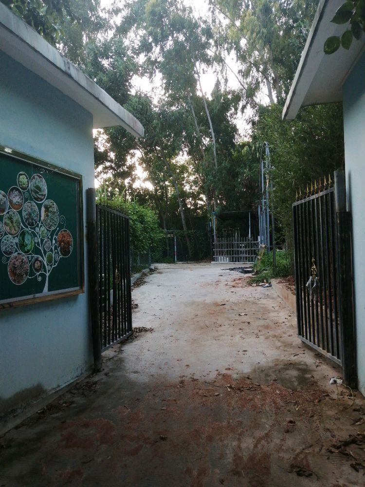 海南热带海洋学院-热海多肉植物园