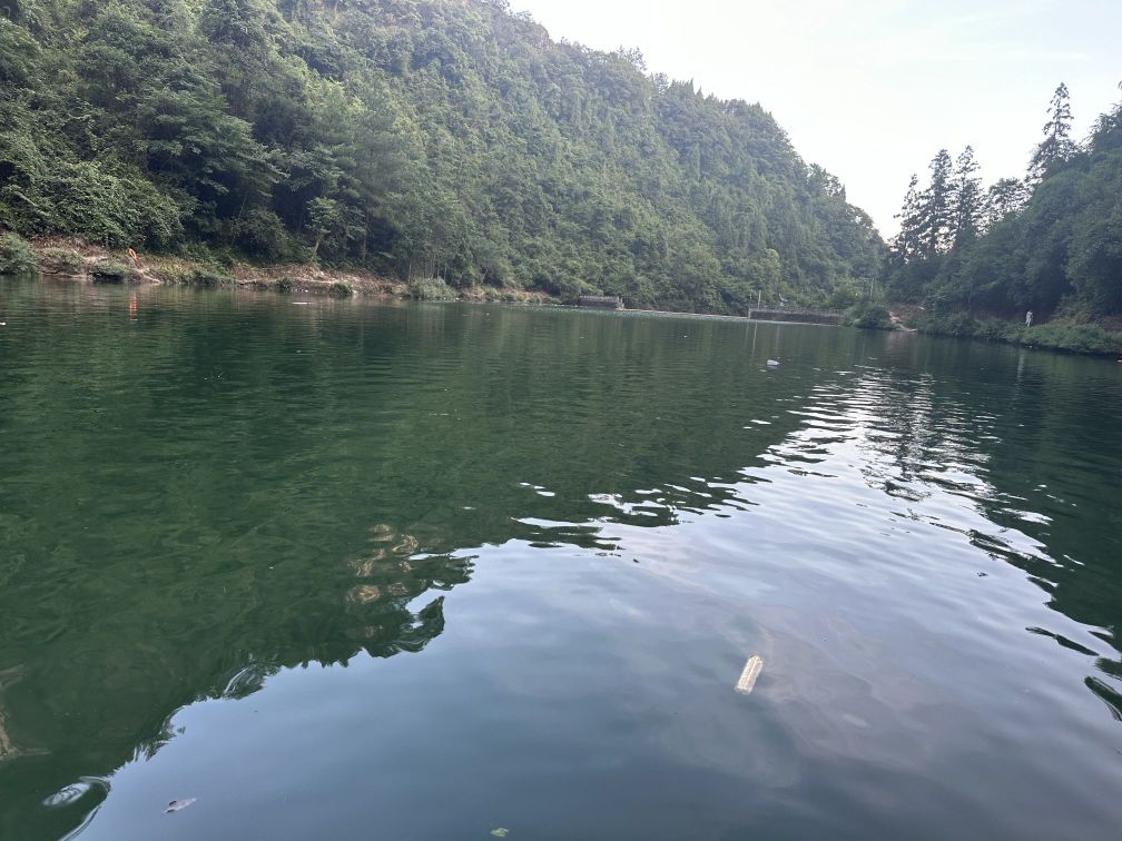 寨英光明水库麒盘蛇钓场