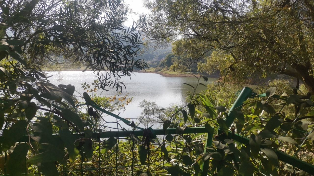 云龙湖森林公园