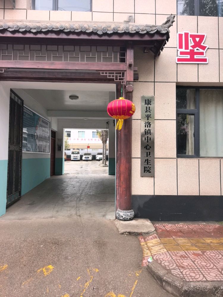 康县平洛镇中心卫生院