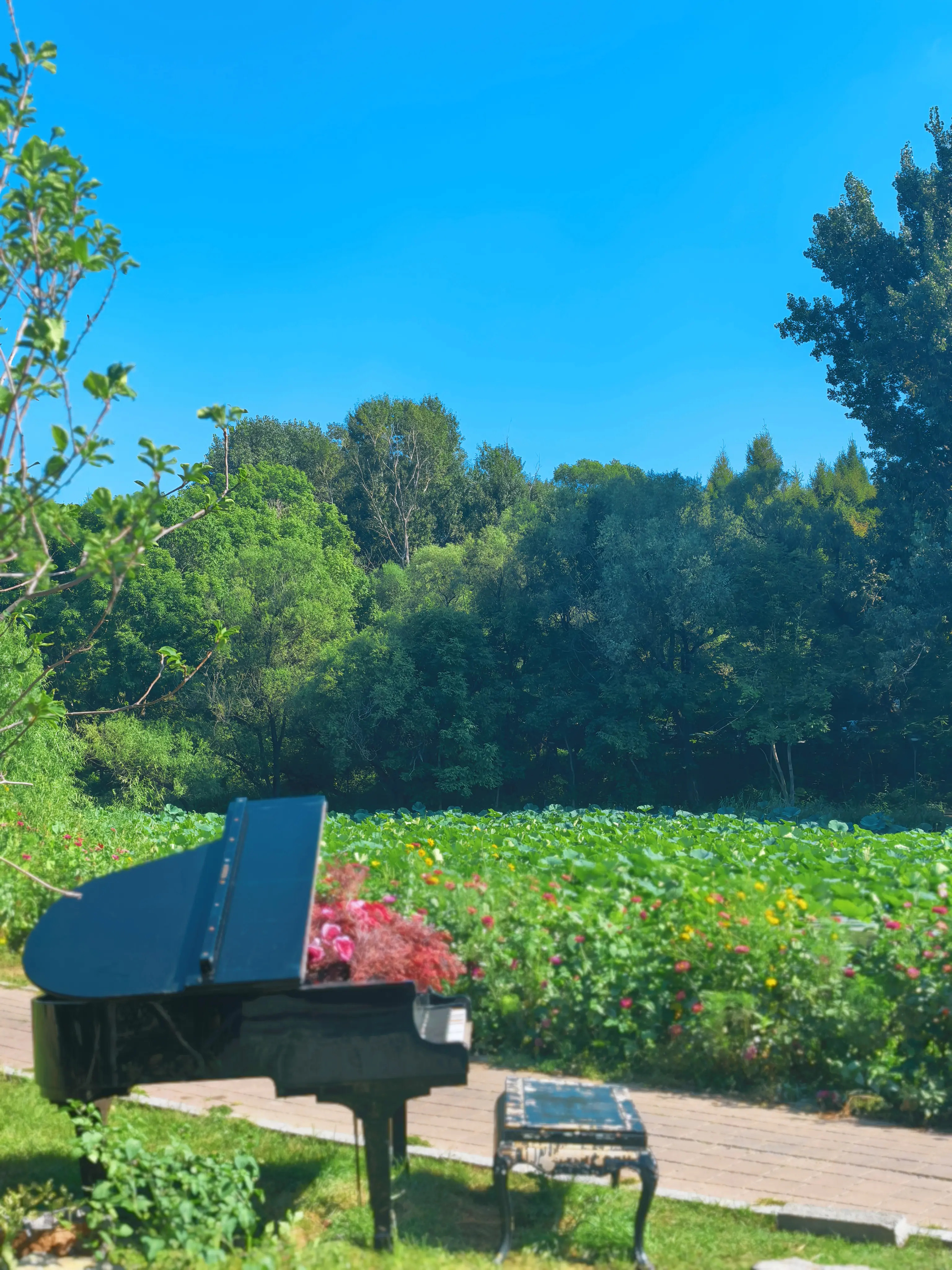 长春市人民政府