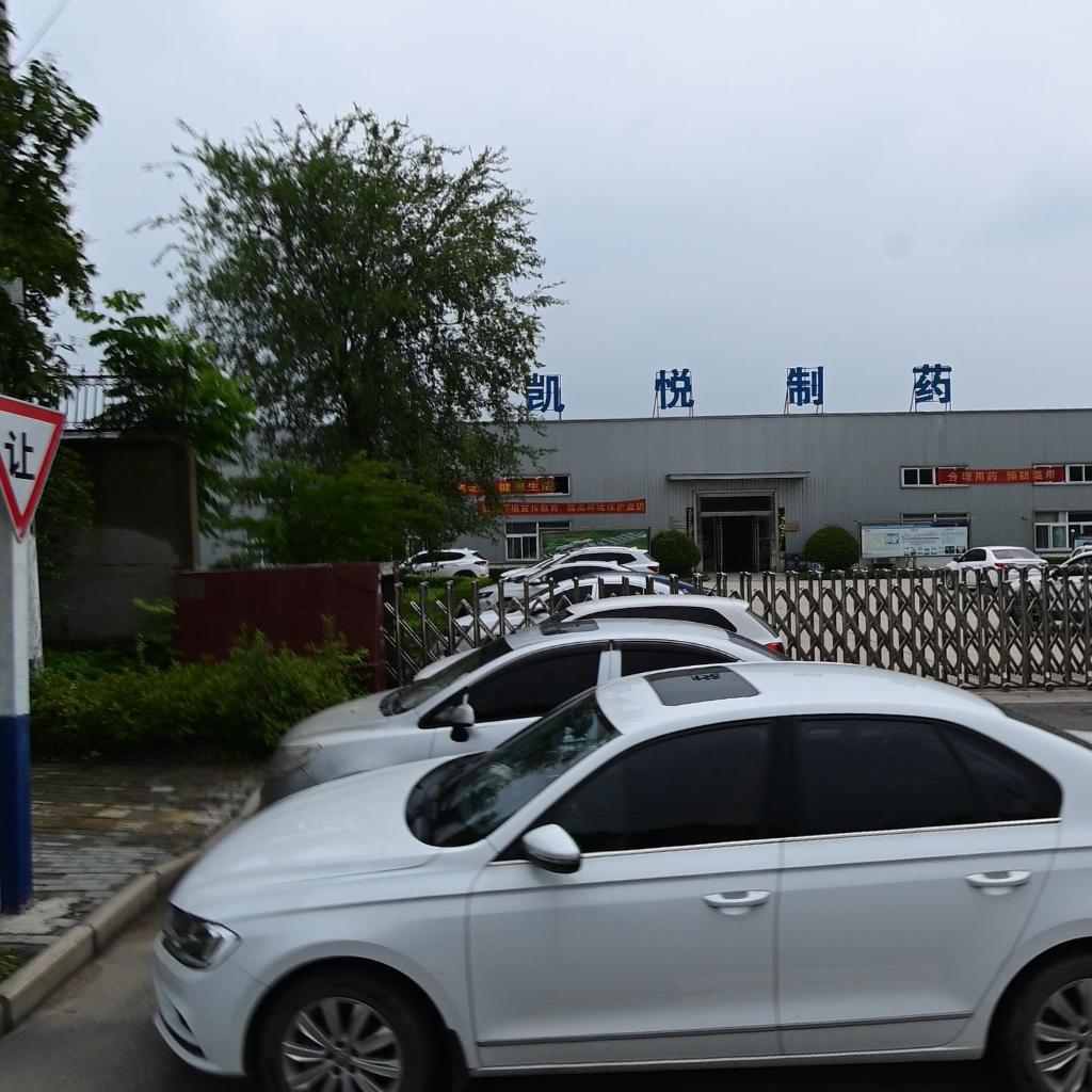 安徽悦康凯悦制药有限公司