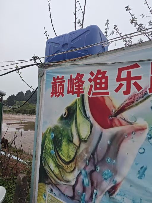 巅峰渔乐