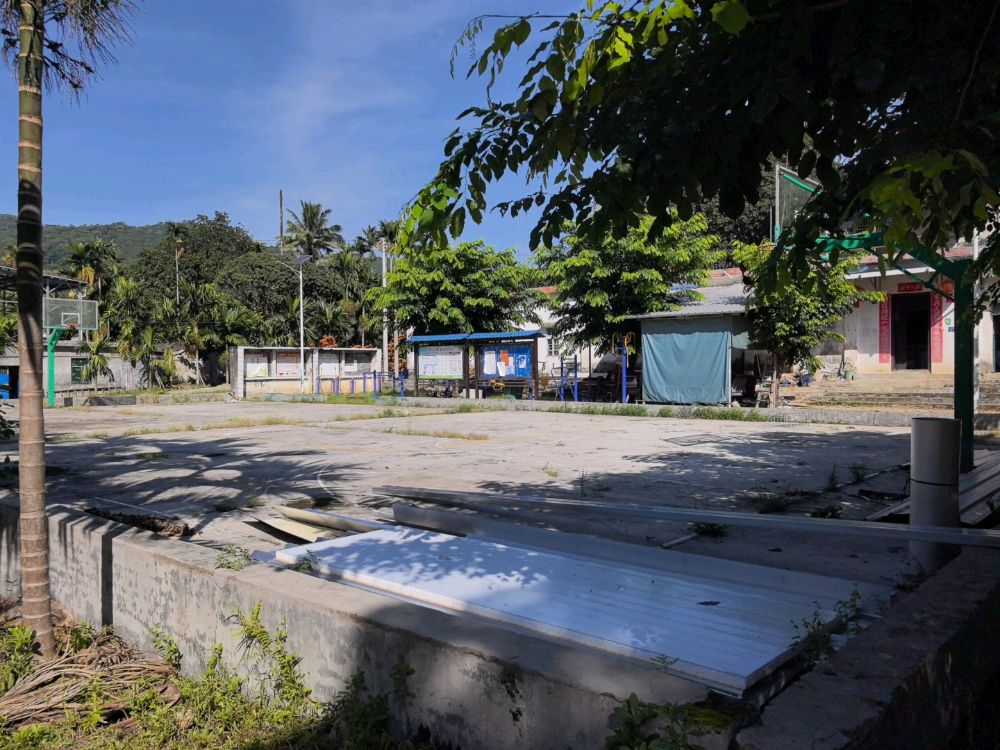 大丰农场十六队