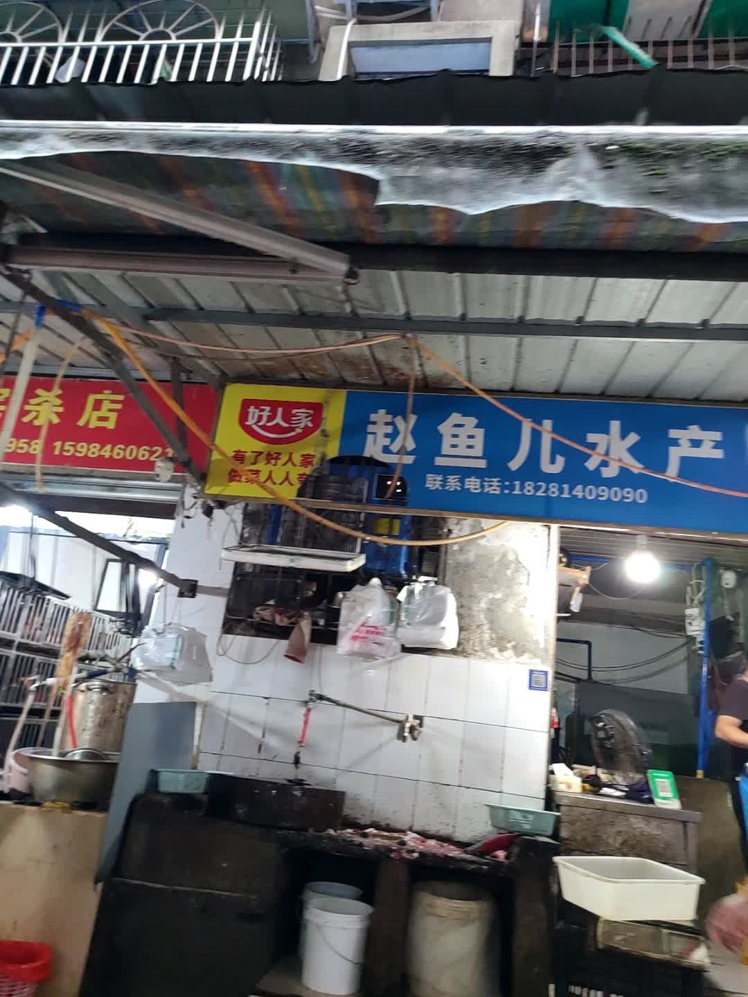 赵鱼儿水产(安康家园店)