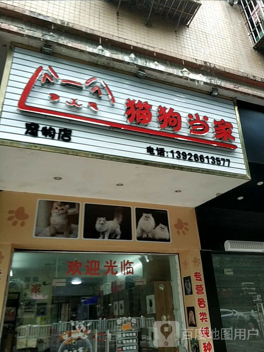 猫狗当家宠物店