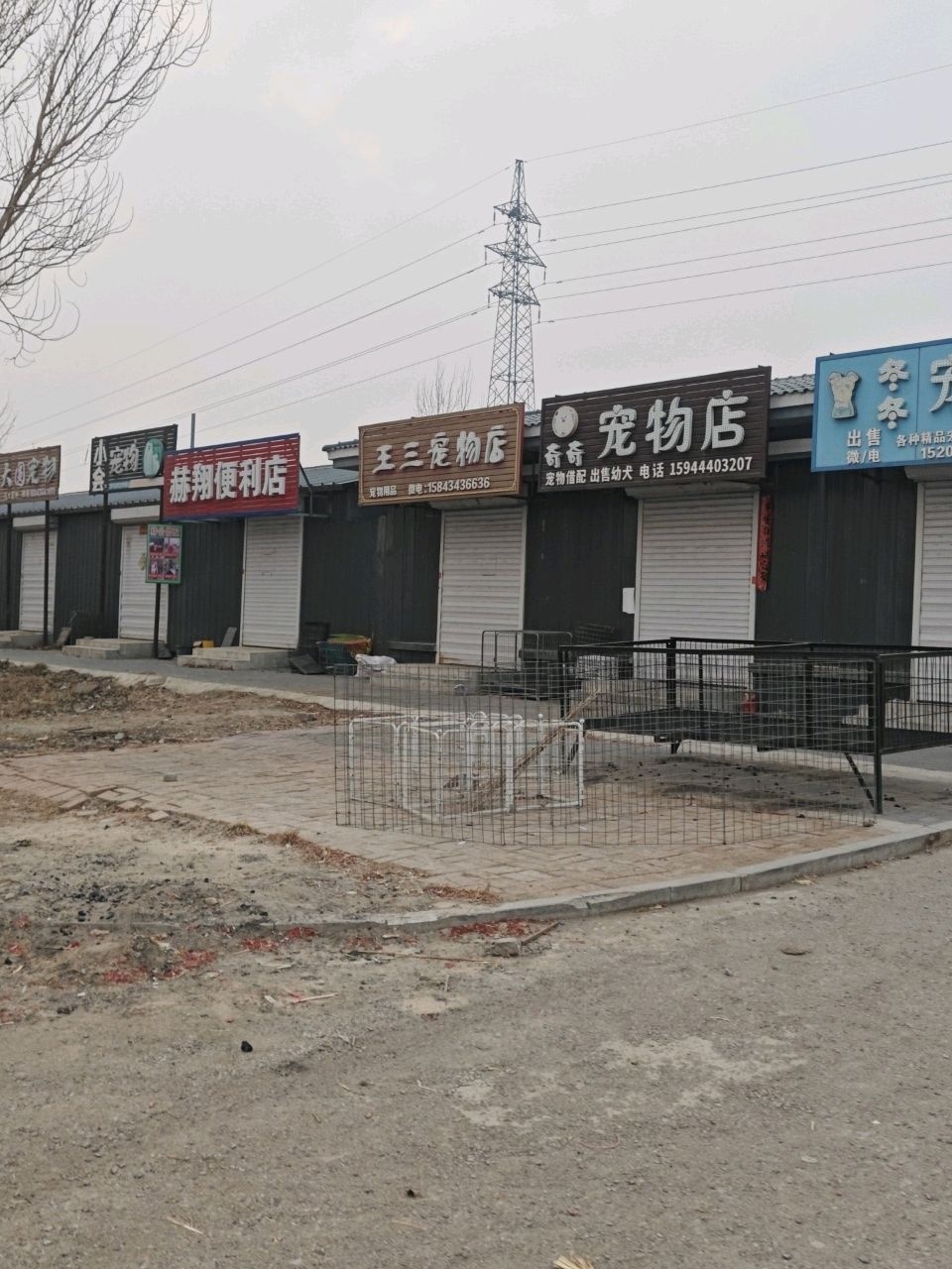 王三宠物店