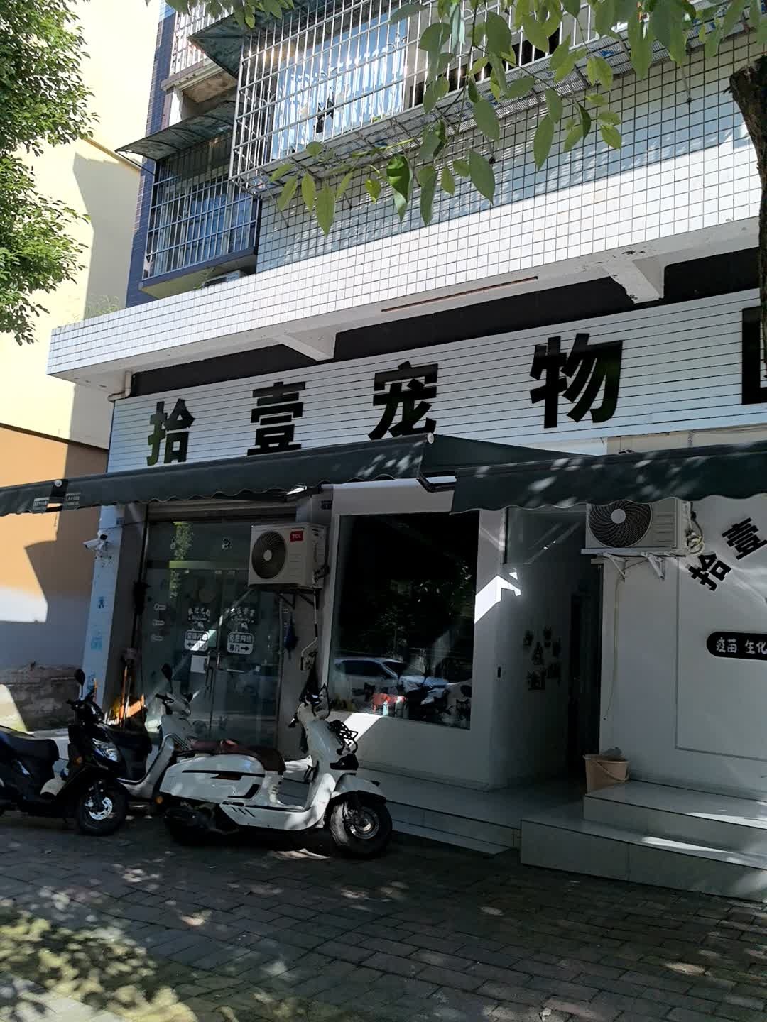 拾壹宠物馆