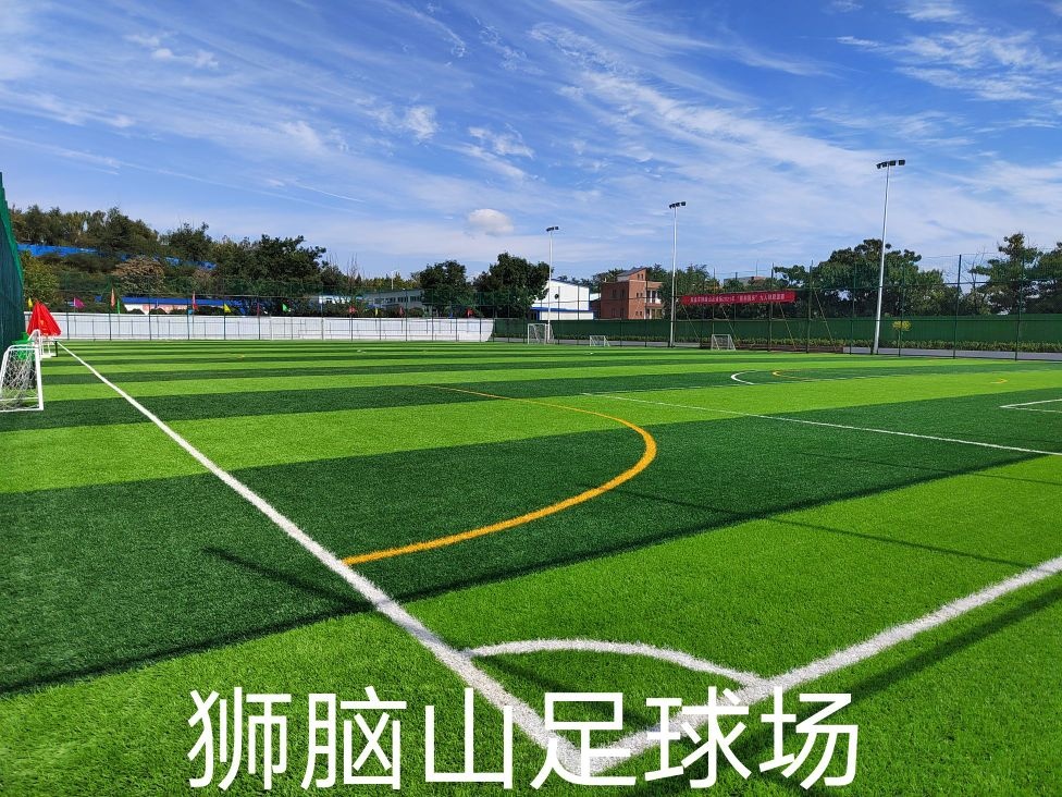 狮脑山足球场