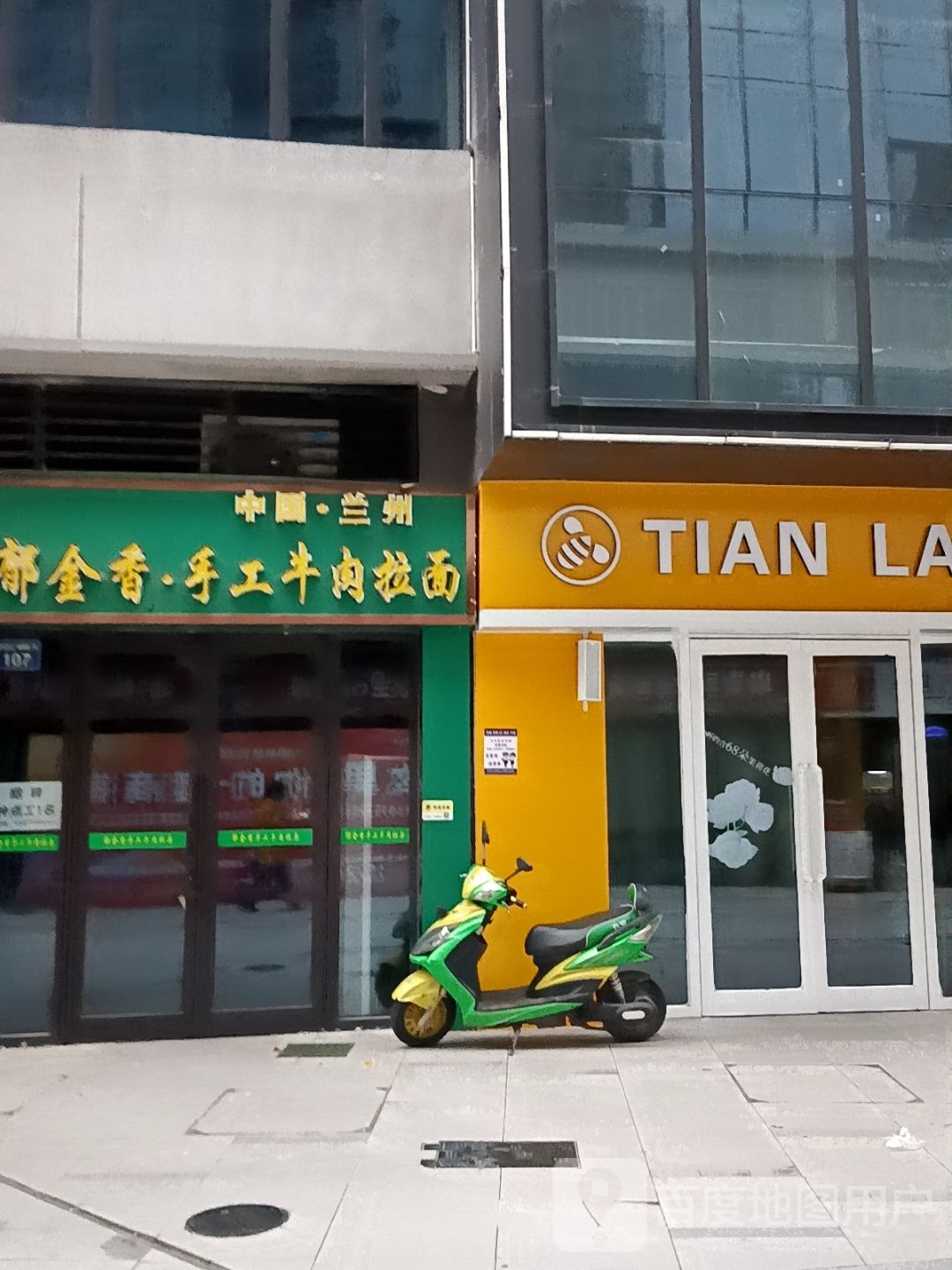 中国兰州郁金香手工牛肉拉面