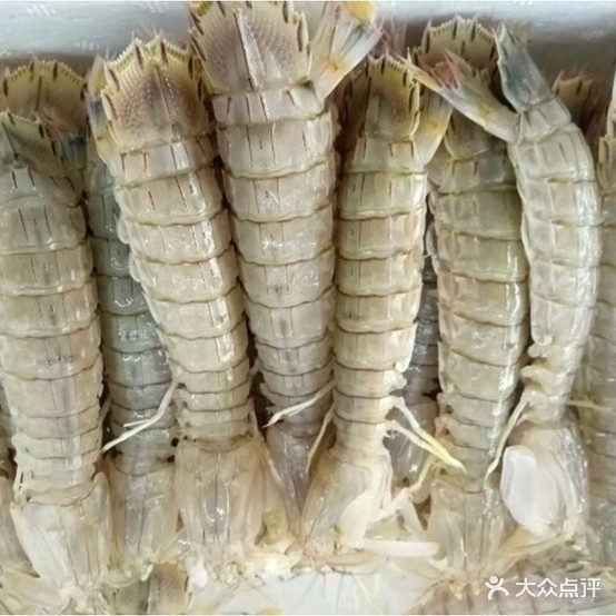昱晟海先