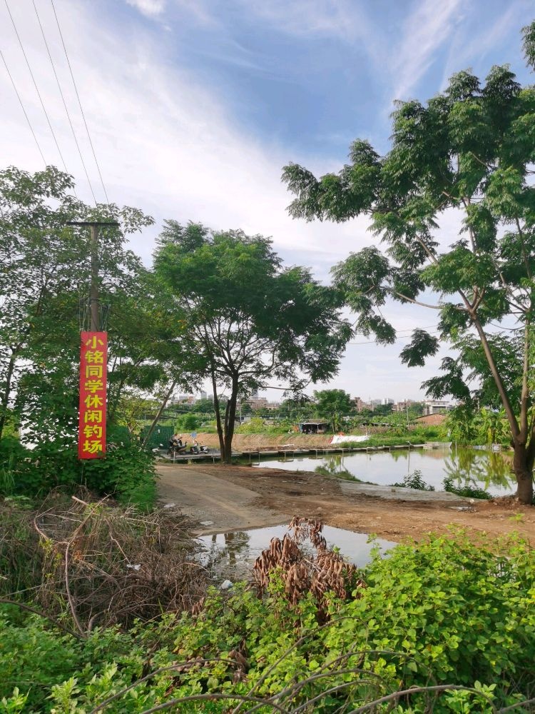 小铭同学休闲钓场