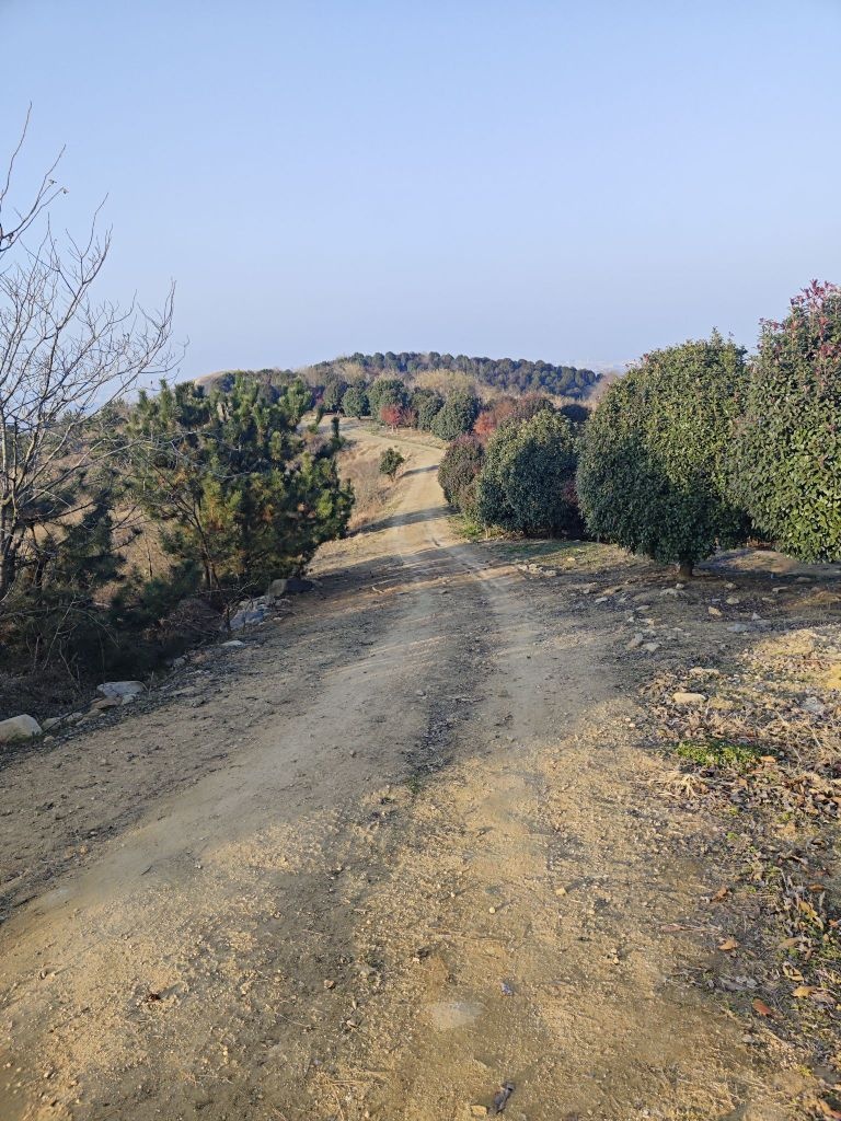 东芦山