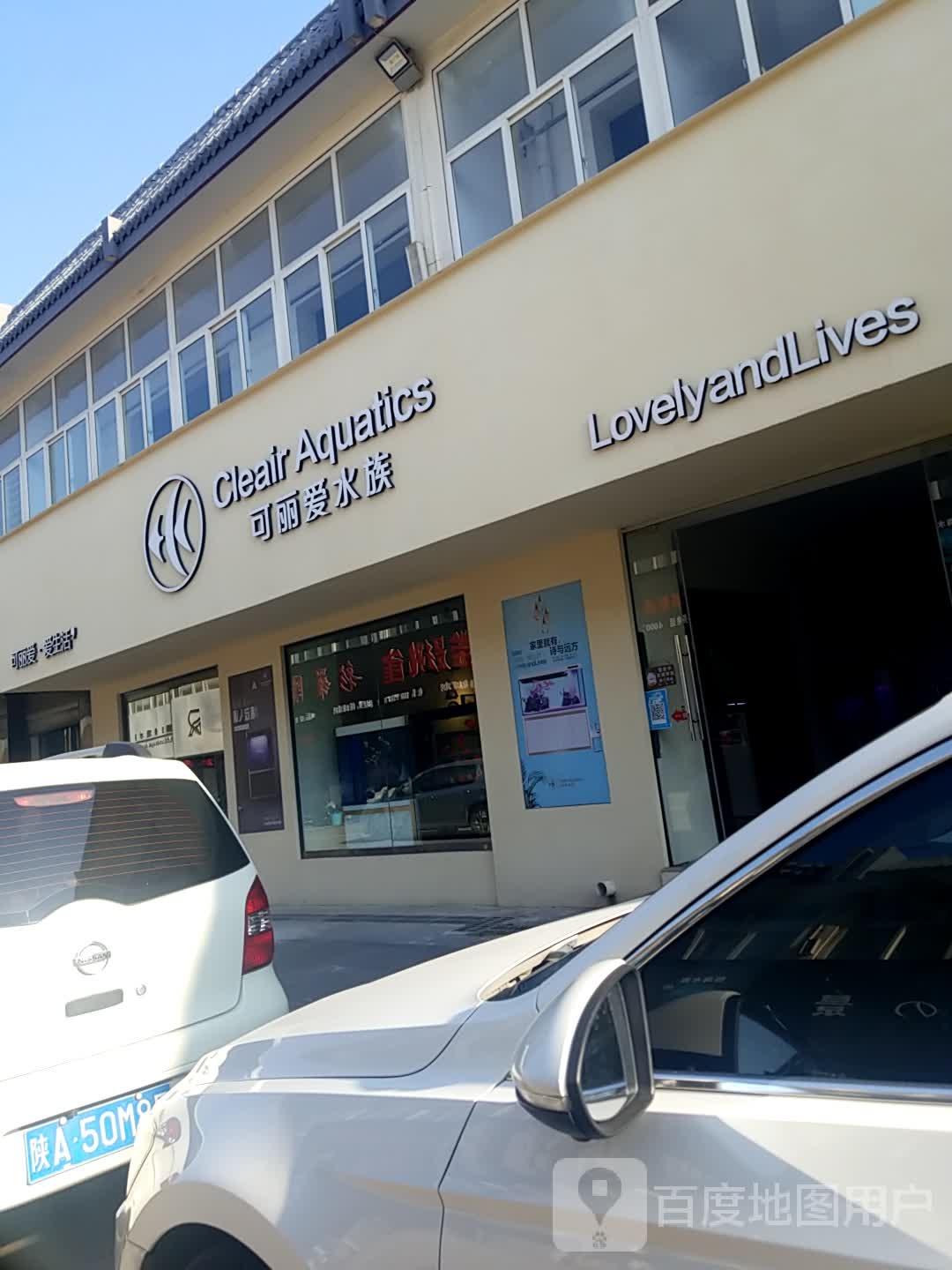 可丽爱水族(二环北路东段店)