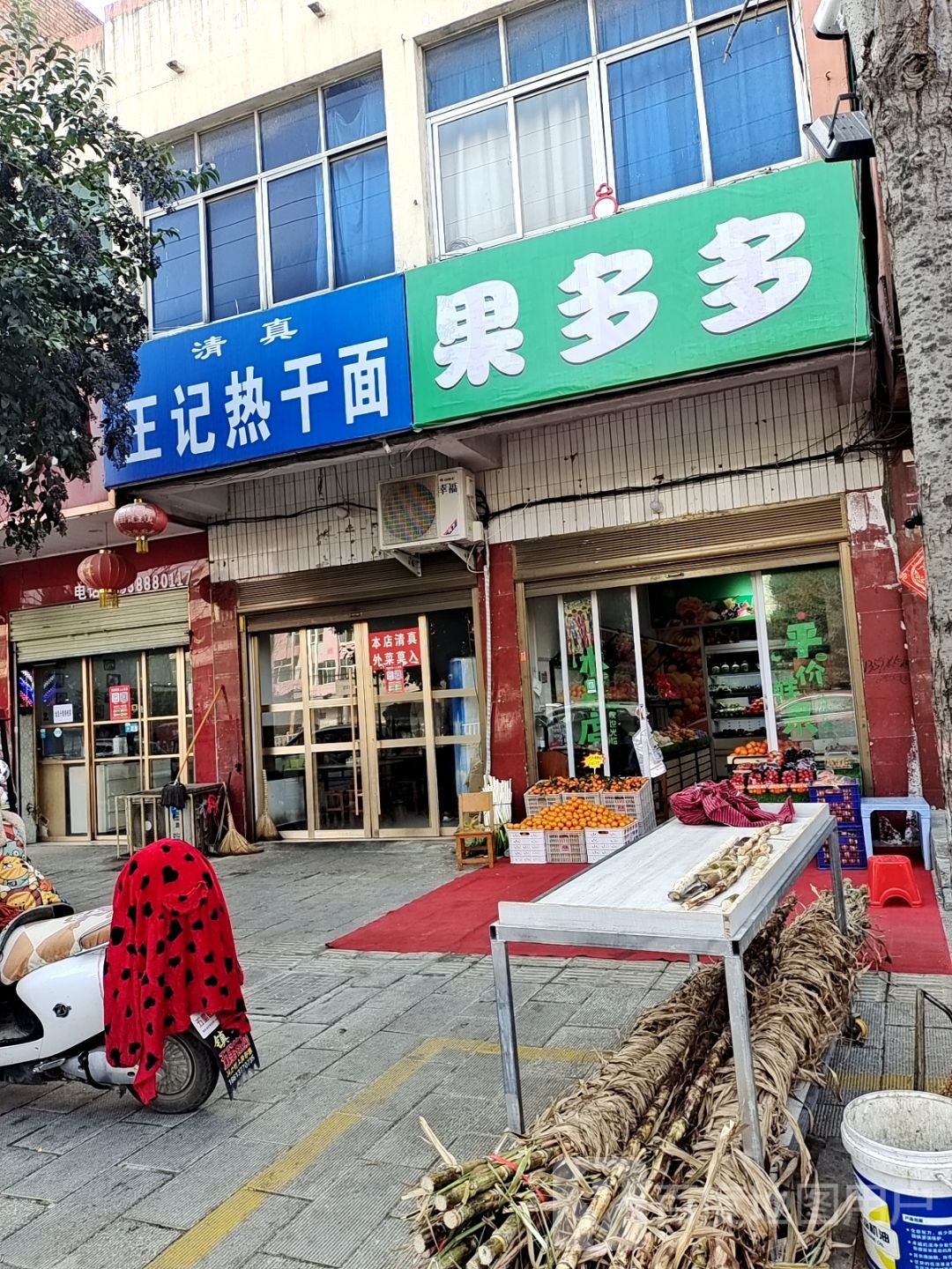 镇平县果多多(建设大道店)