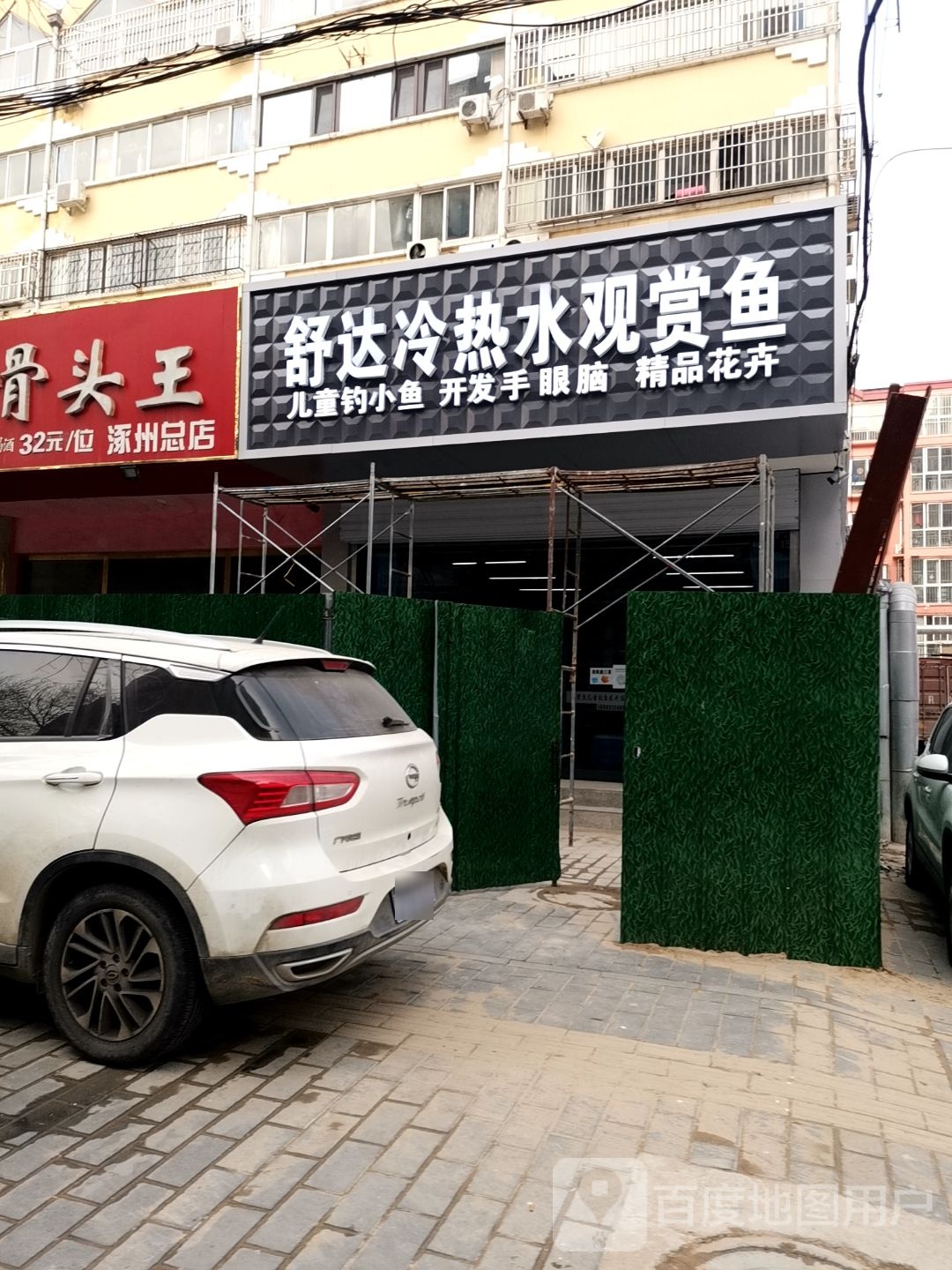 舒达冷热水观赏鱼