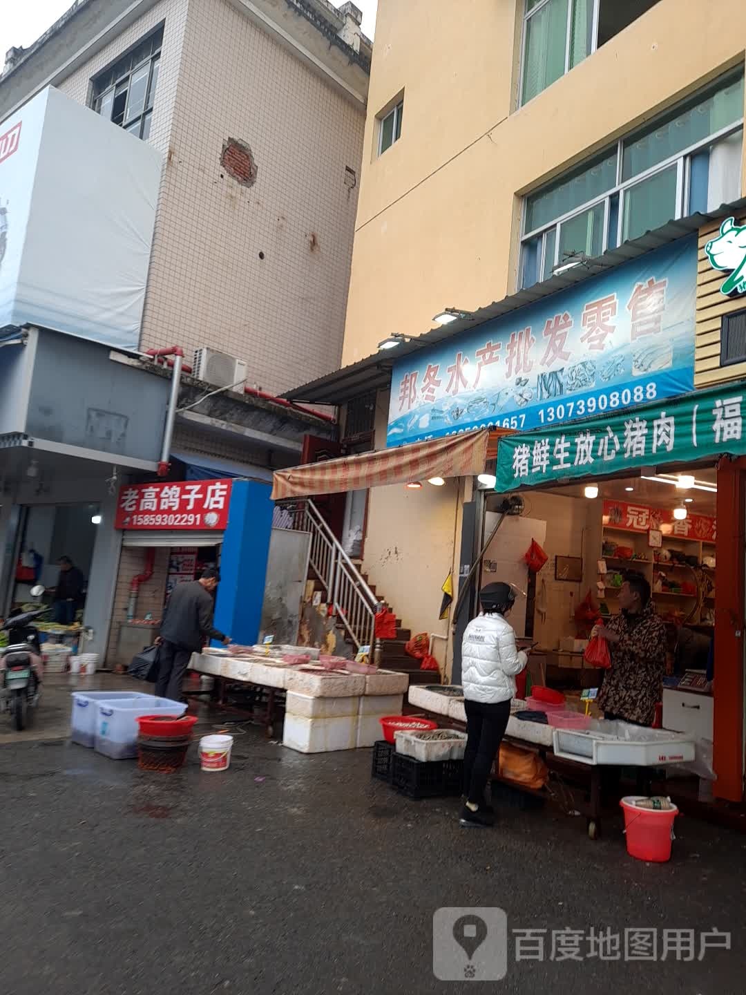 老高鸽子店