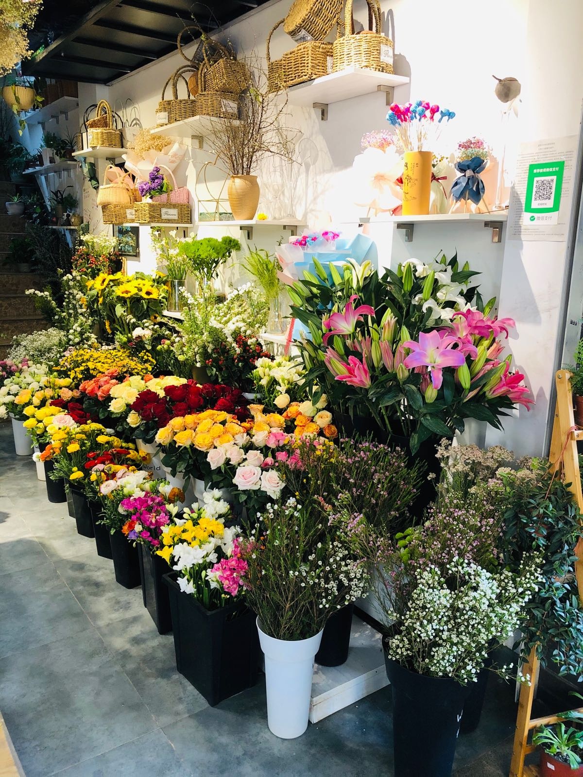 花间时光花点
