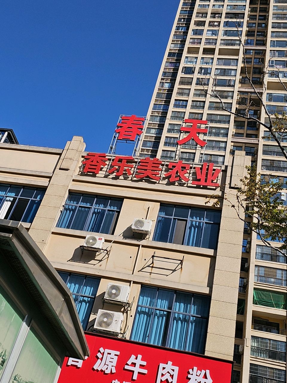 乐业特色土菜