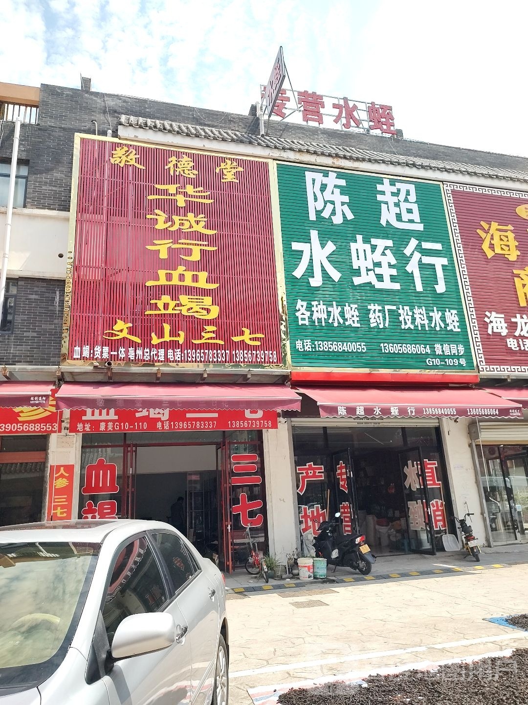 陈超水蛭行