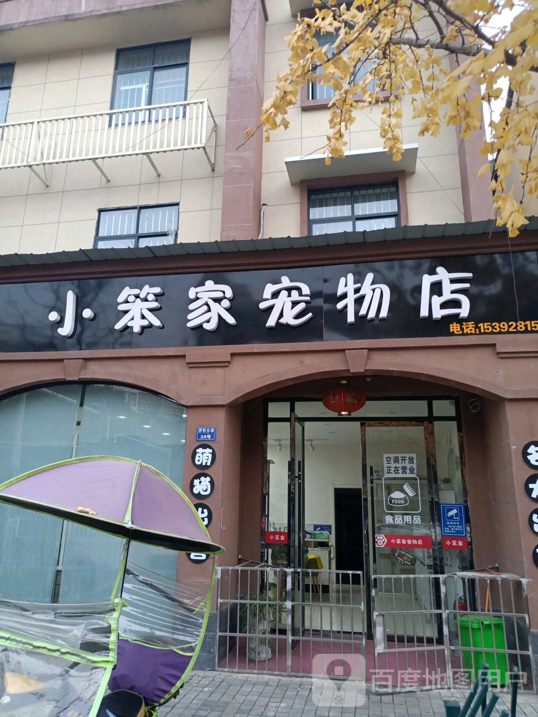 小笨家宠物店