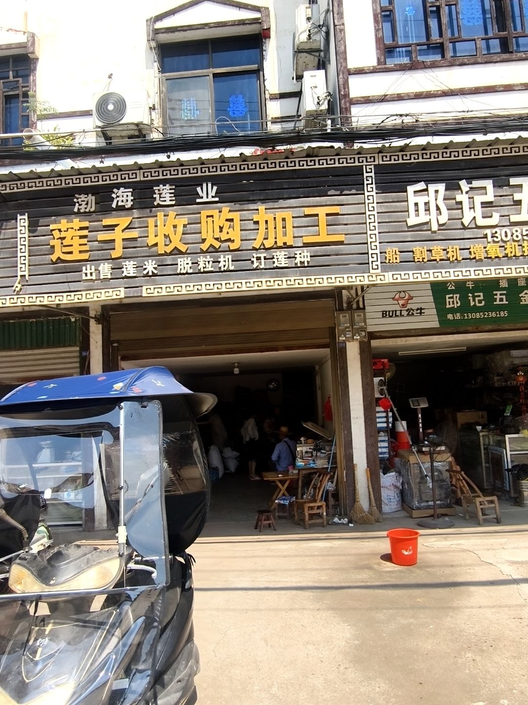 渤海莲业莲子收购加工