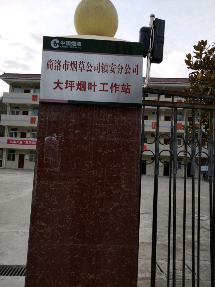 中国烟草商洛市烟草公司镇安县分公司大坪镇烟叶工作站