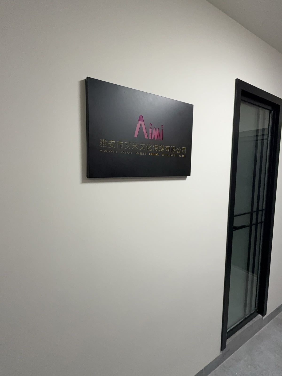 雅安市艾米文化传媒有限公司