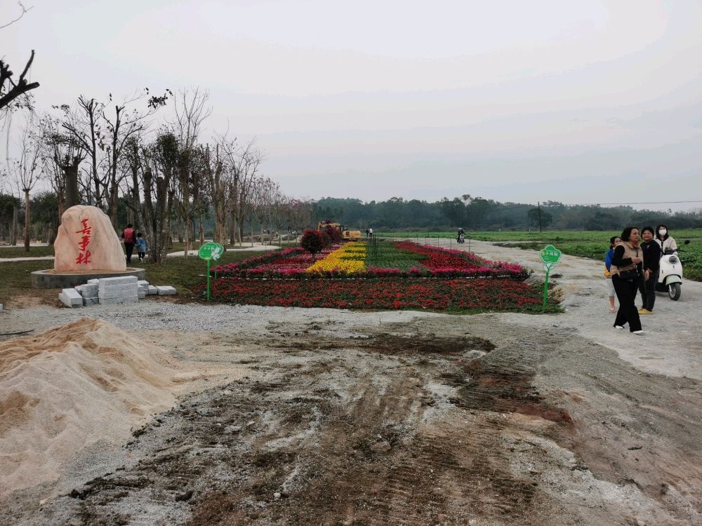 横山镇坎仔湿地公园