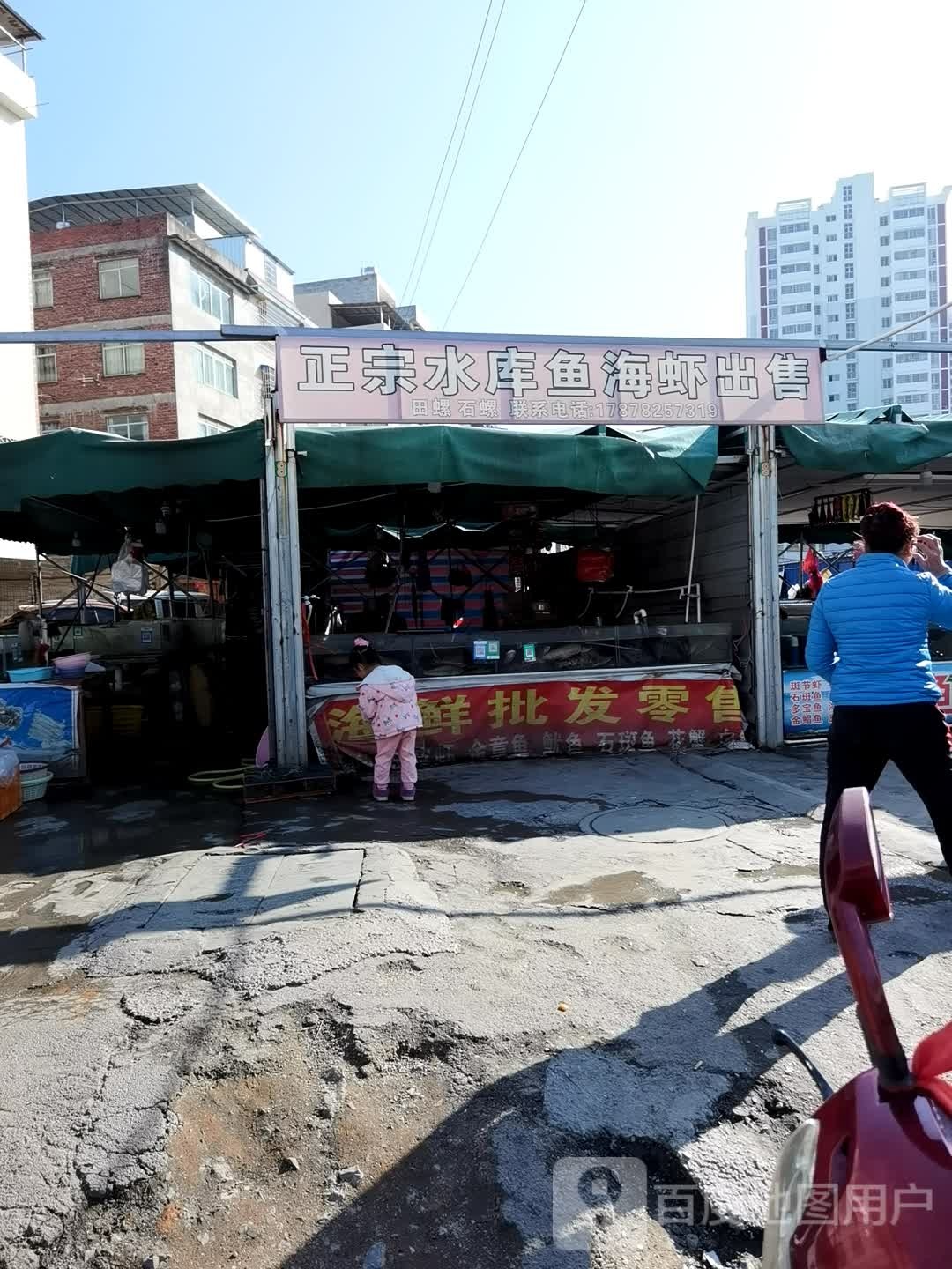 宗水库鱼海虾出售