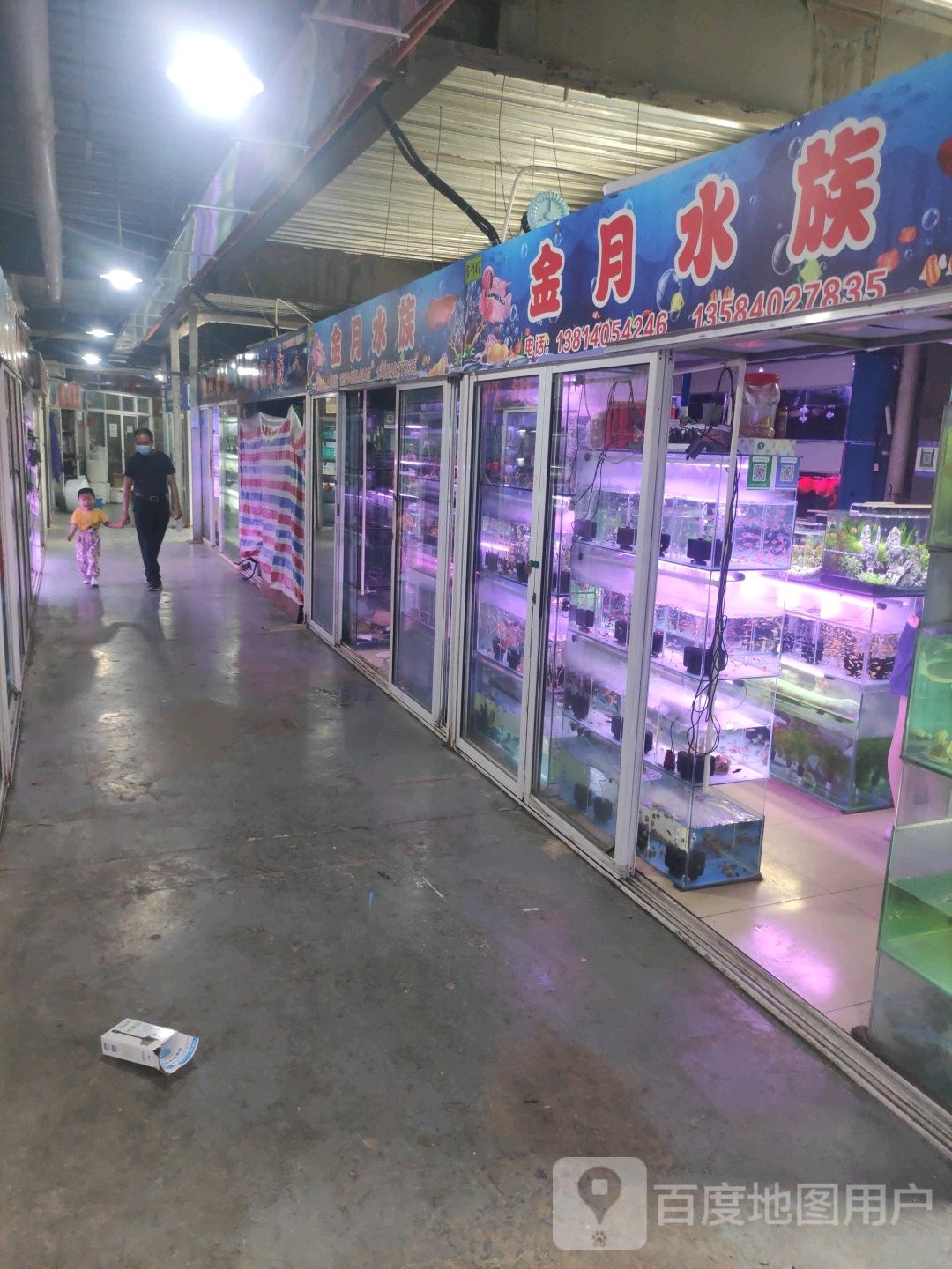 金隆水族(友谊河路店)