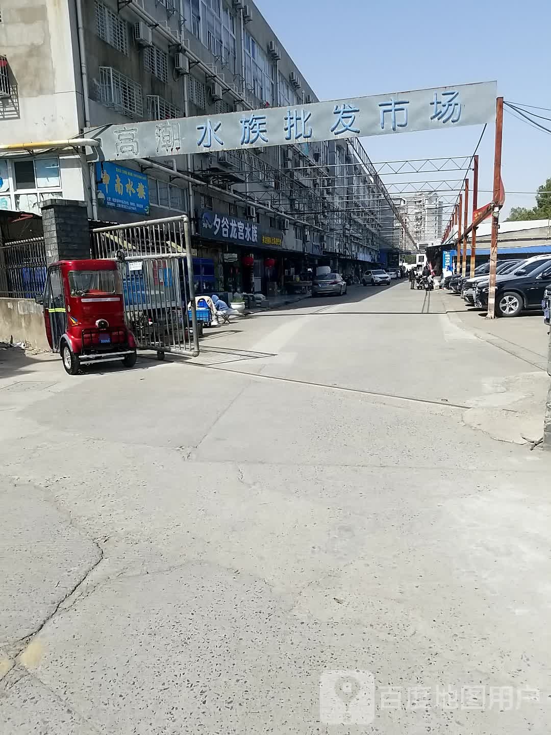 夕谷龙宫水族(高潮水族批发市场店)