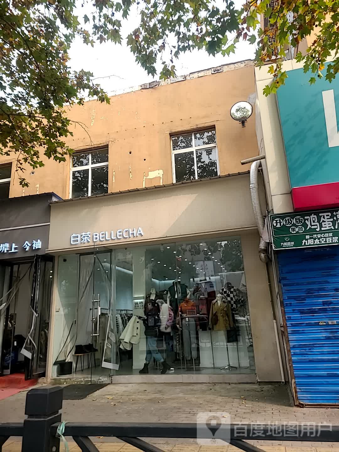 白茶