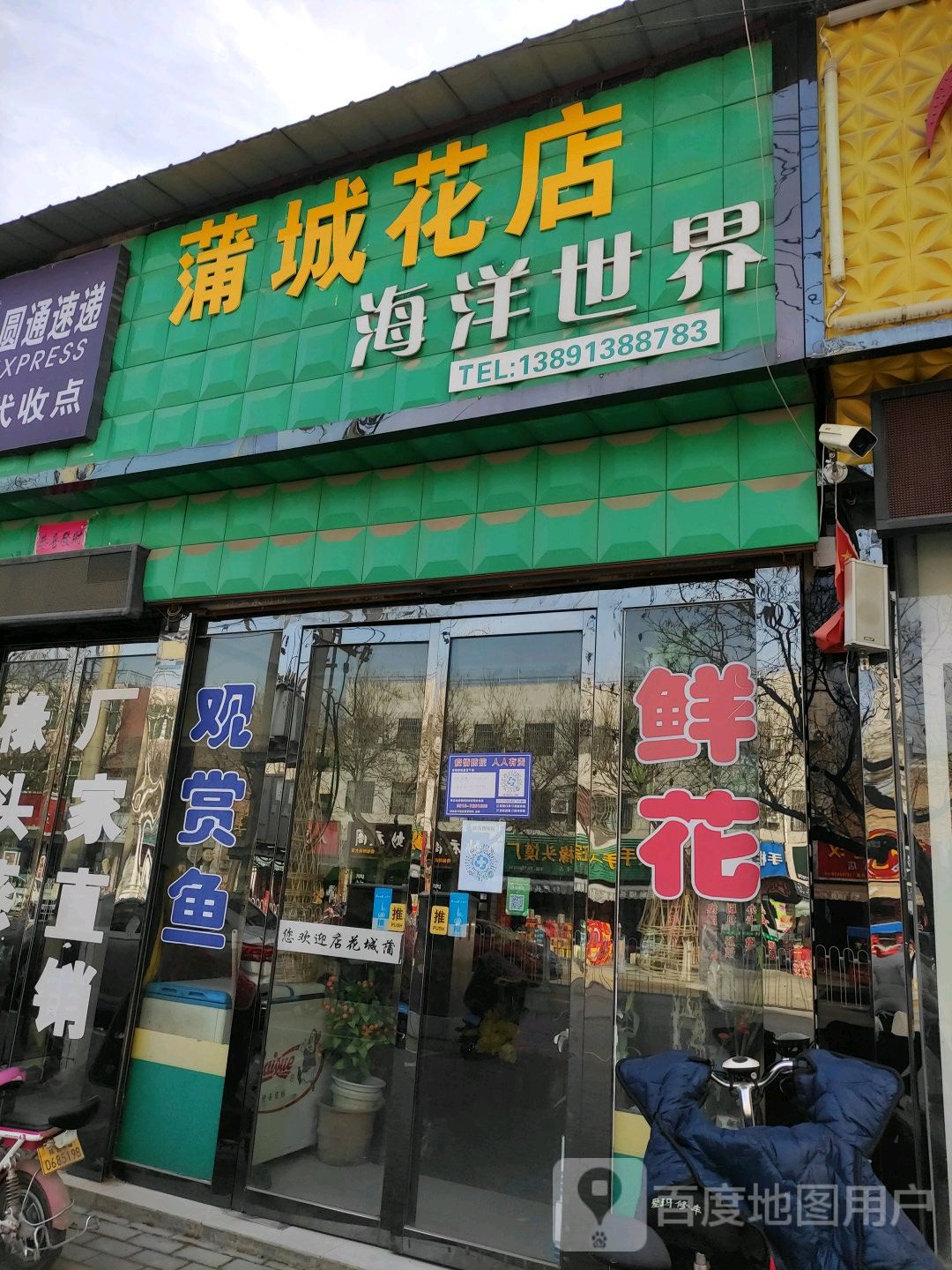 海洋世界