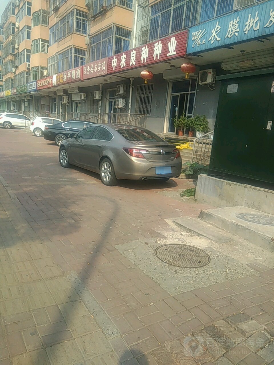 中农良种种业