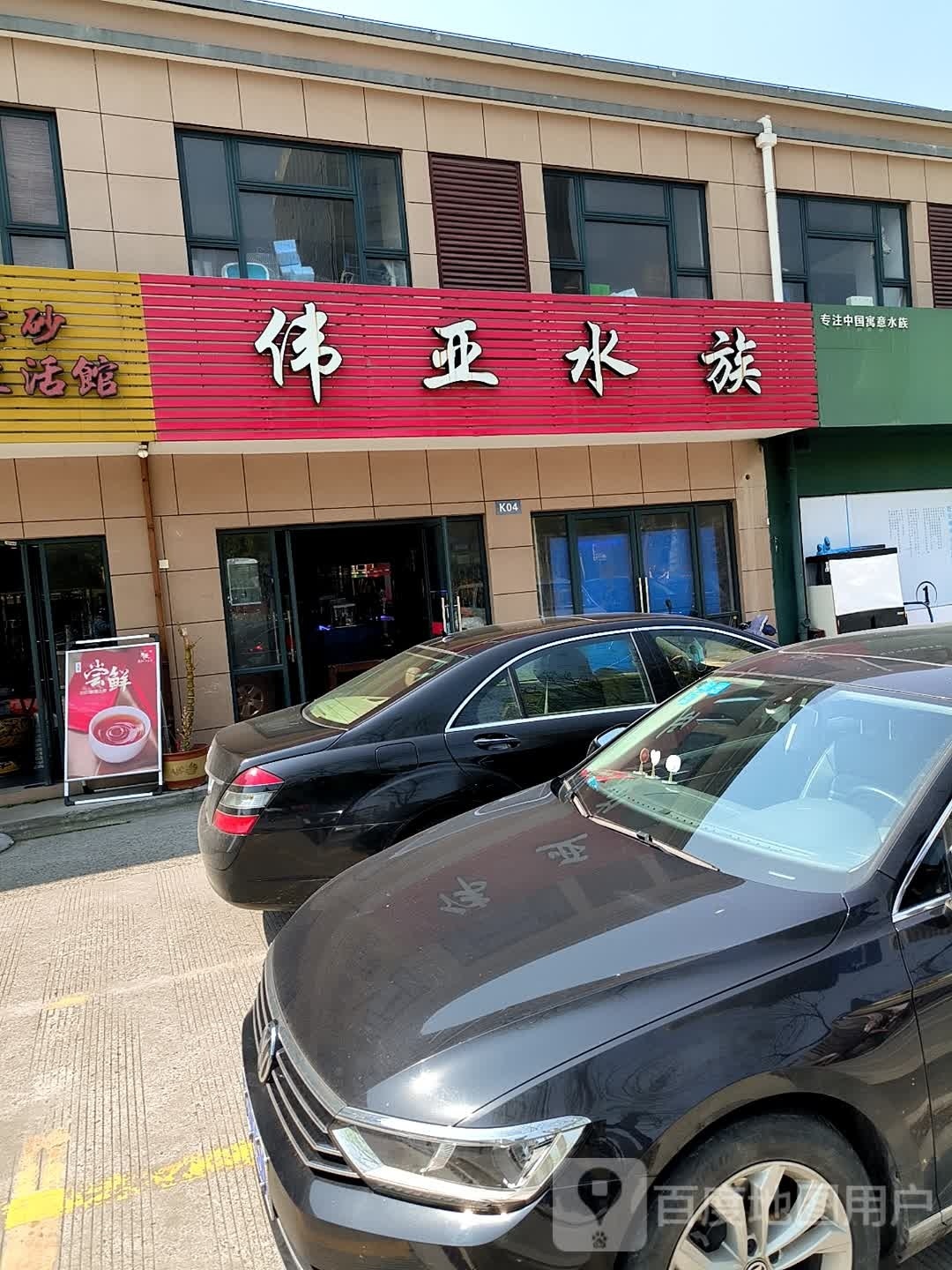 篡呖亚伟流水族