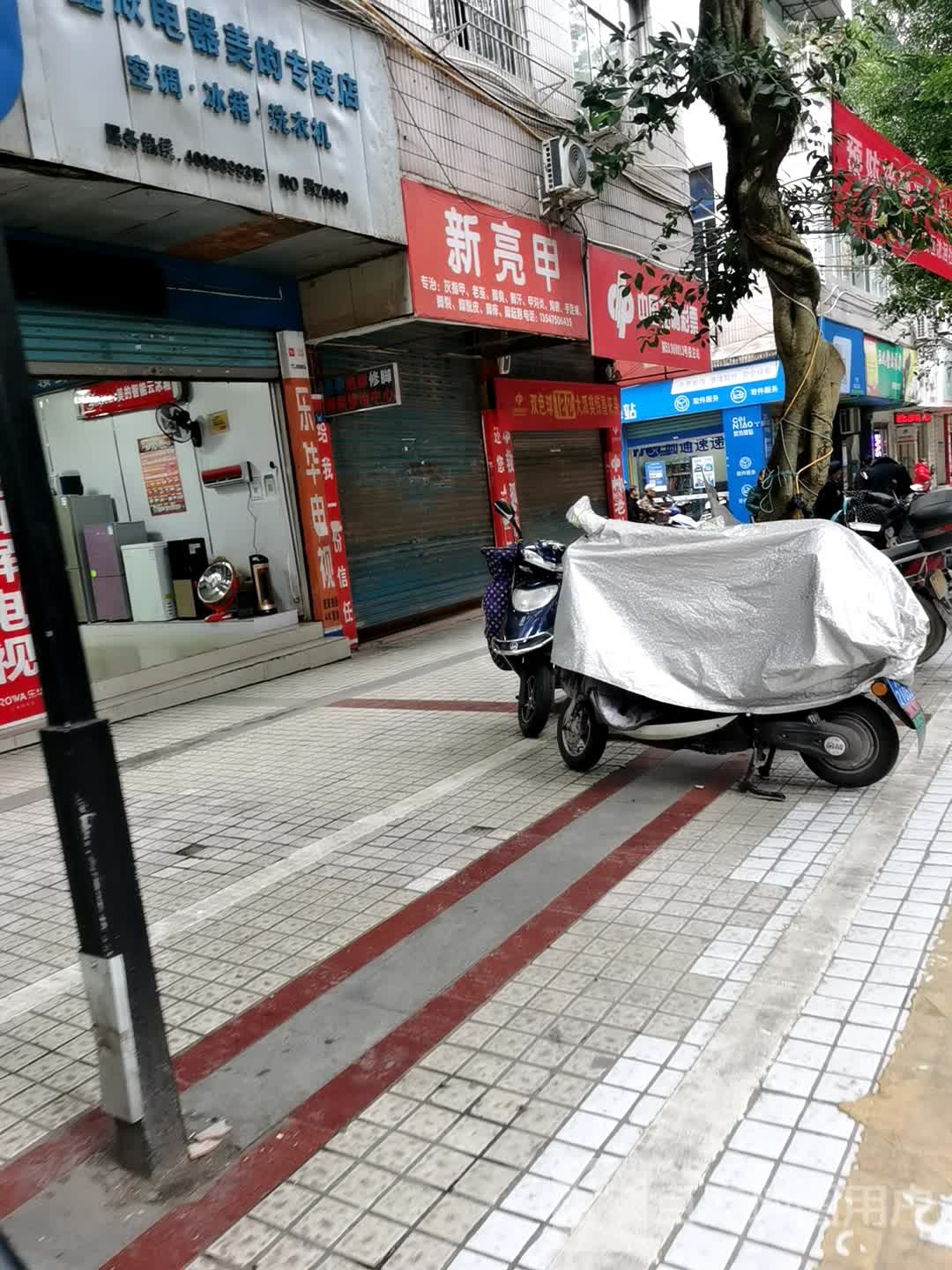 新亮甲