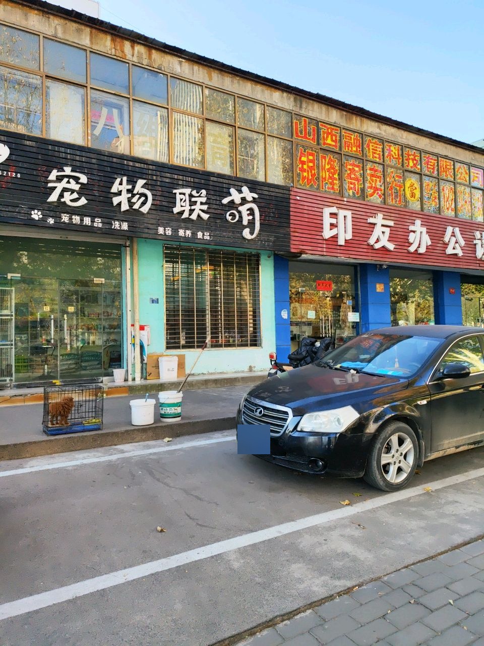宠物联盟(神农北路店)