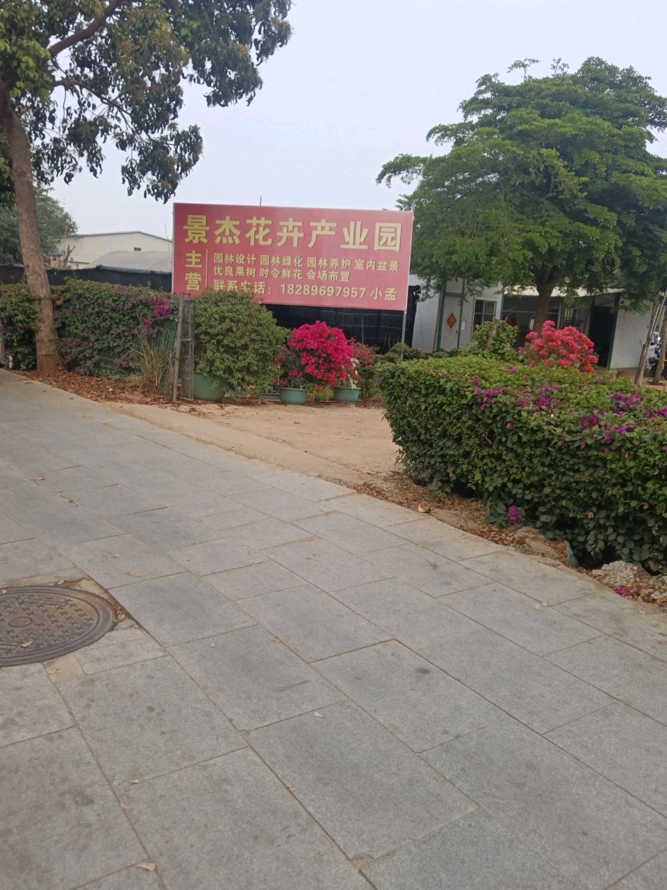 景杰花卉产业园