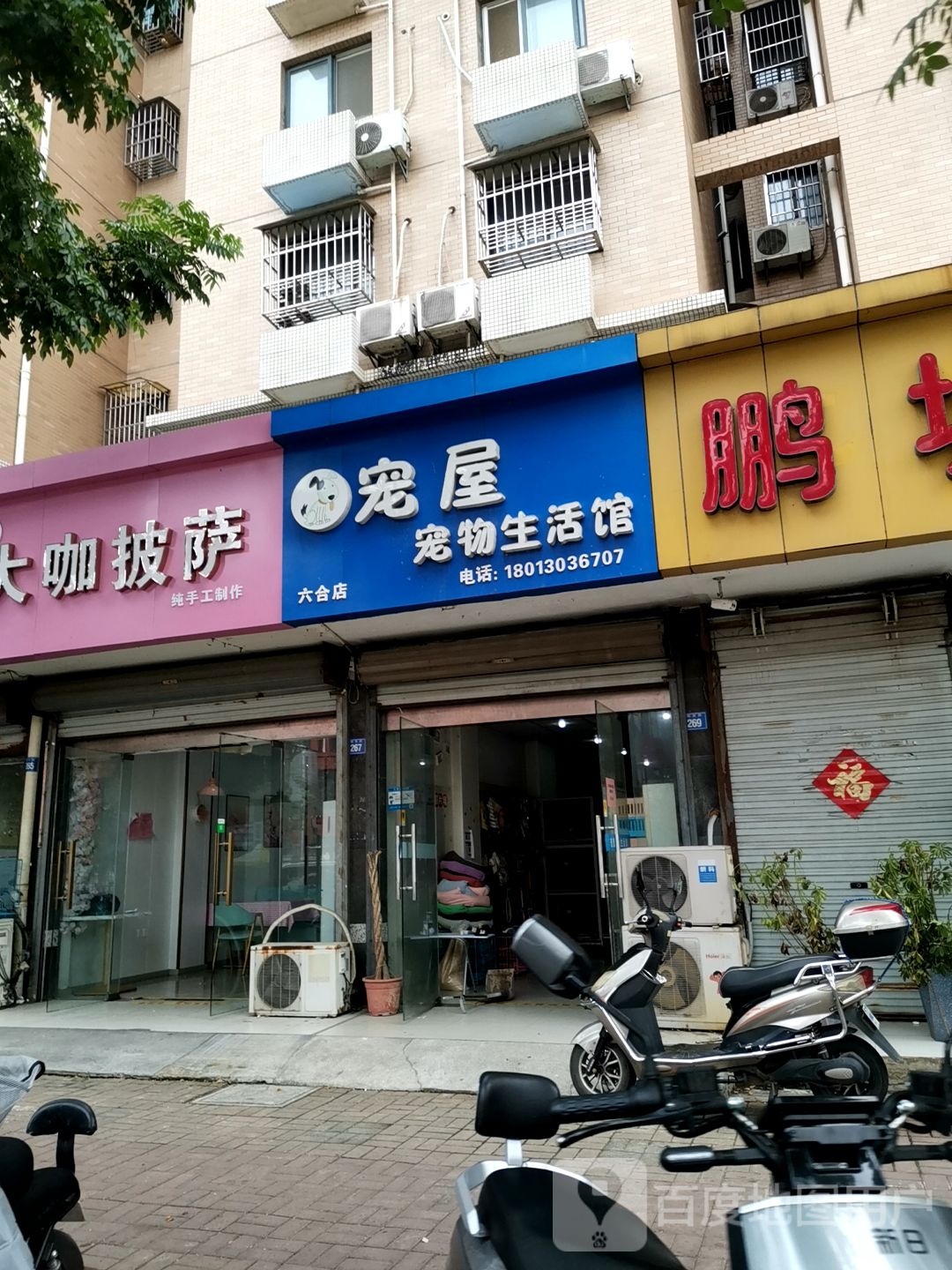 宠屋宠物生活馆(六合店)