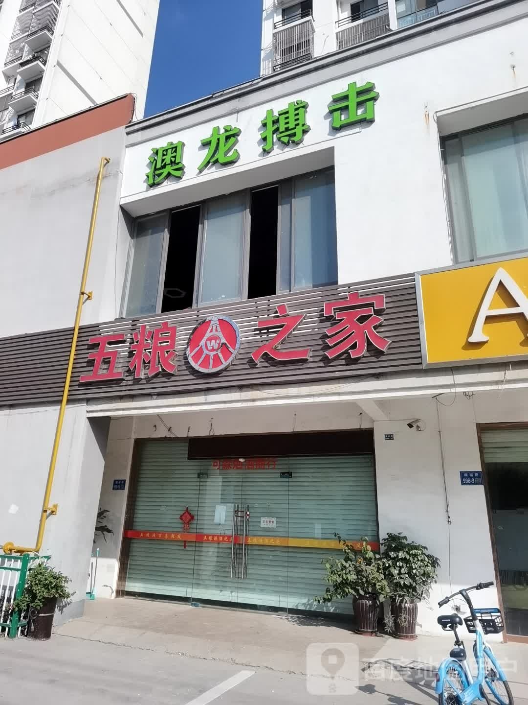 澳龙搏击